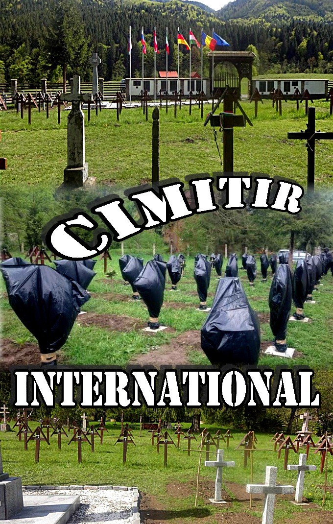 Cimitir international 1