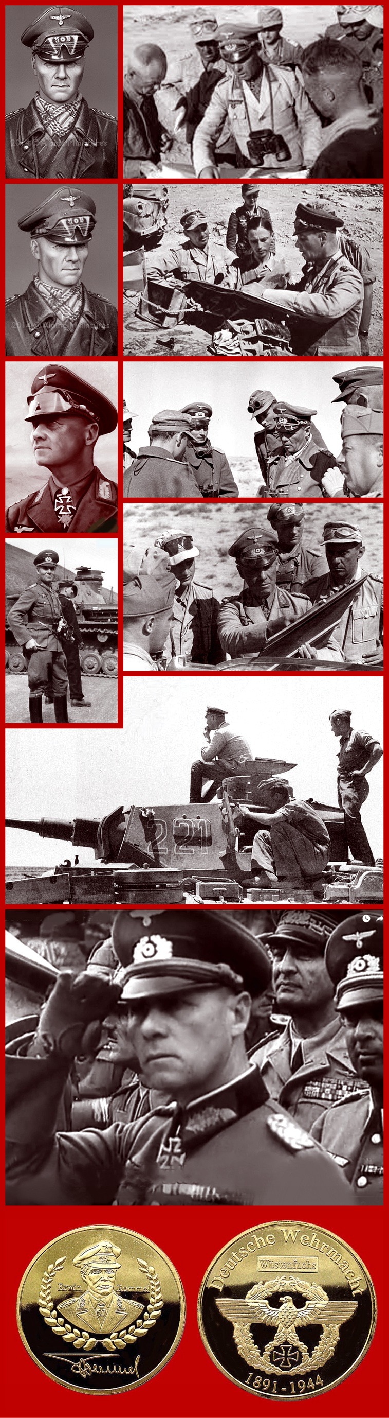Rommel aranjament foto 1