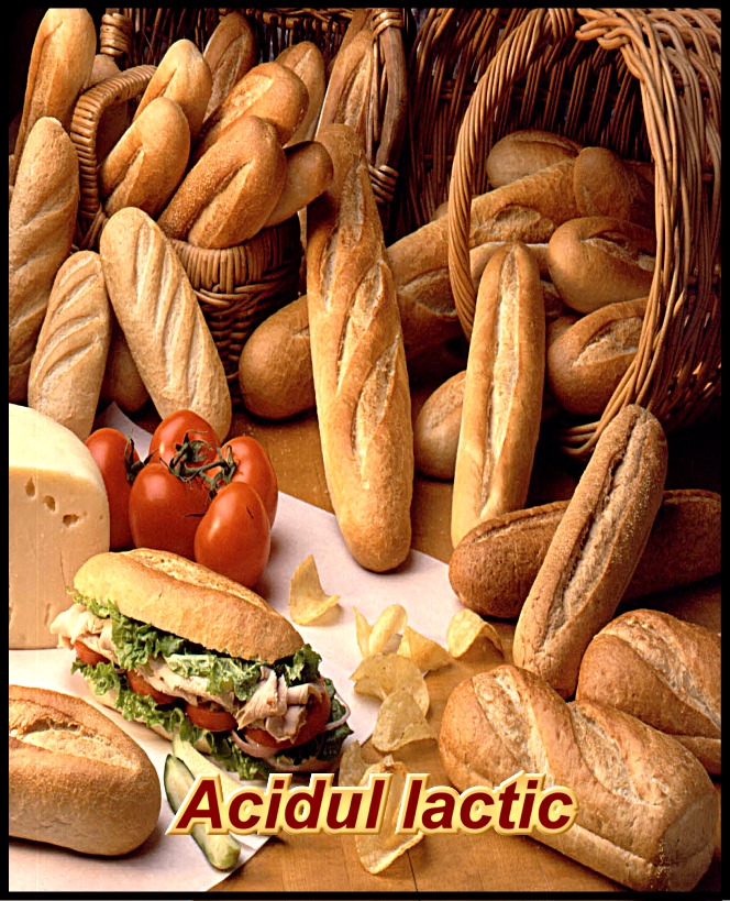 Acidul lactic in alimente